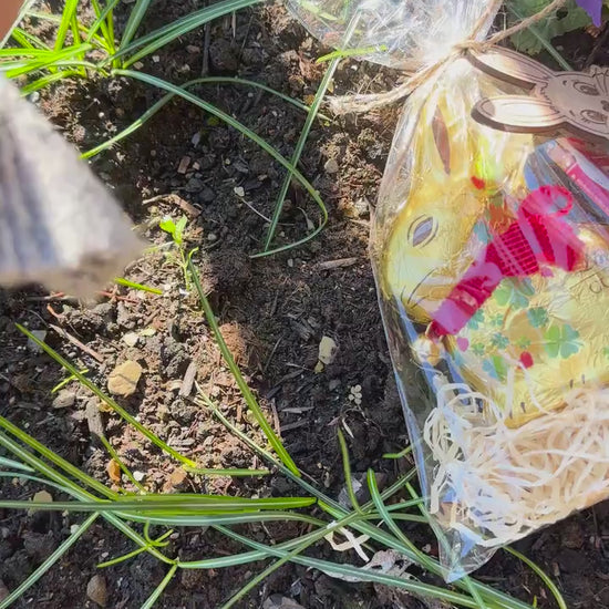 Ostertüte personalisiert mit Holz Anhänger & Lindt Hase – Cellophantütchen Ostern, Osterdekoration, Ostergeschenk Kinder